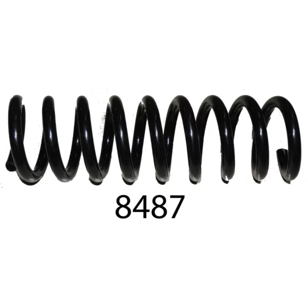 Пружина задний W210 TBP